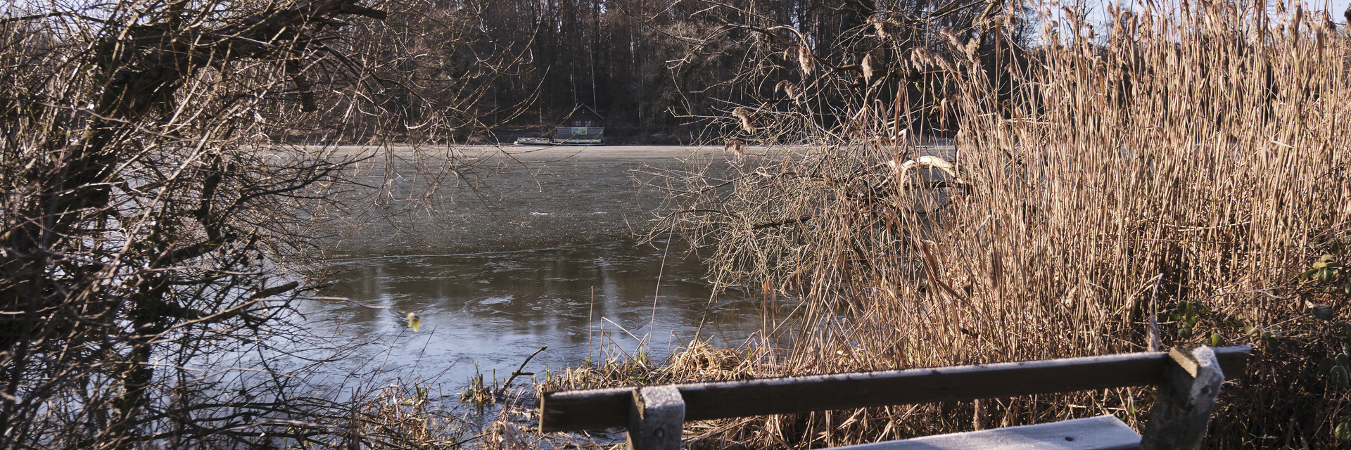 Kreuzlingen_LengwilerWeiher_byPhilippUricher_0056