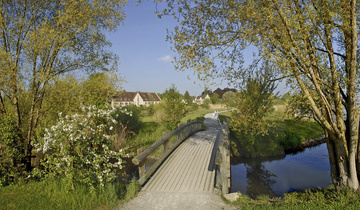 Holzbrücke über Bachlauf