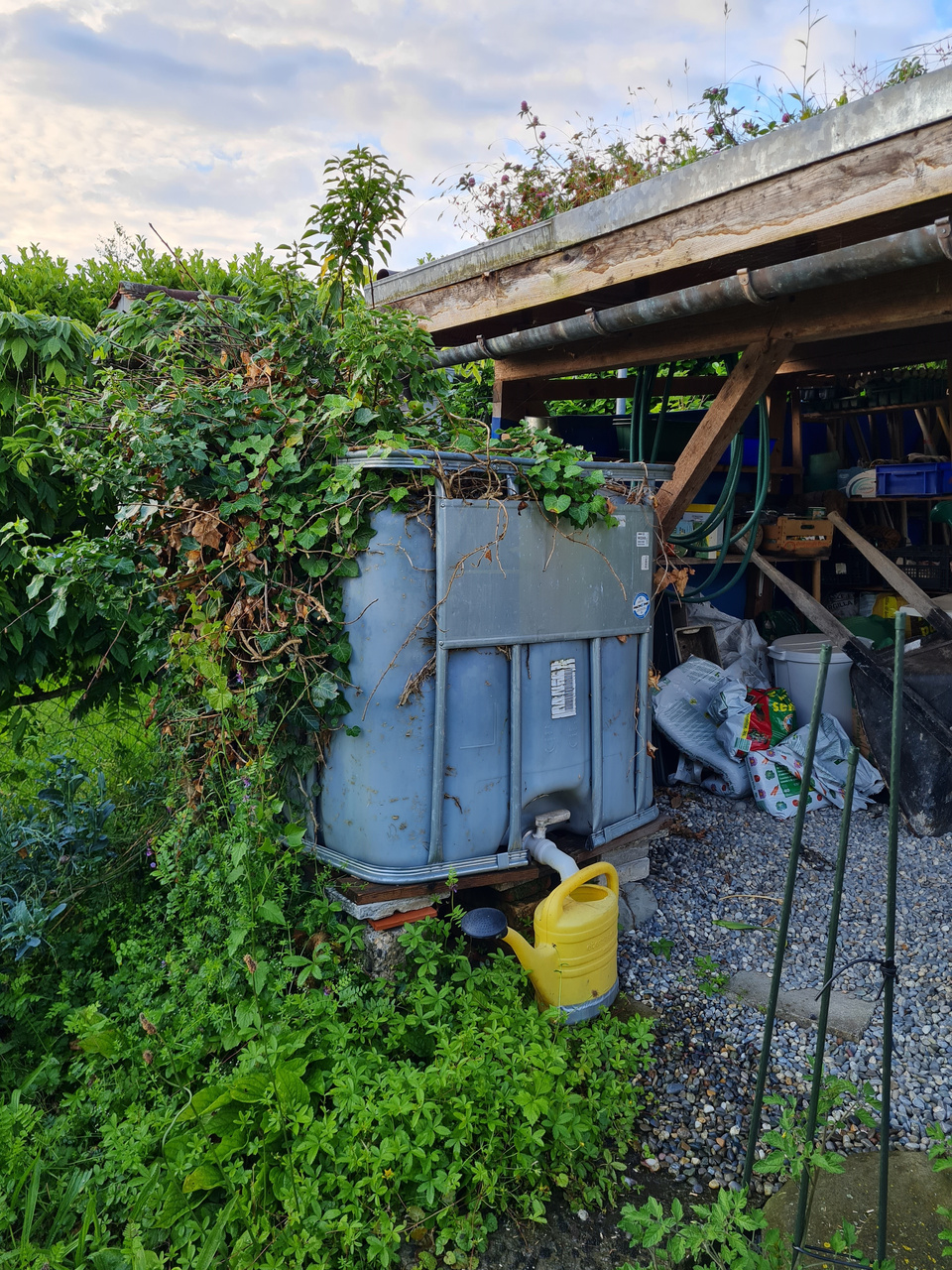Hat sich bewährt: Auch dieser Regenwassertank spart Trinkwasser und schont das Portemonnaie. Regenwassertank